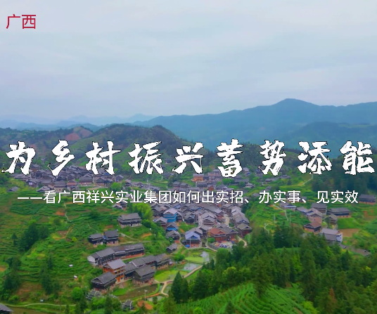 廣西祥興：為鄉村振興蓄勢添能”
